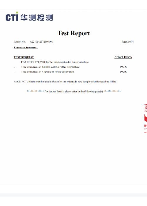 testing report